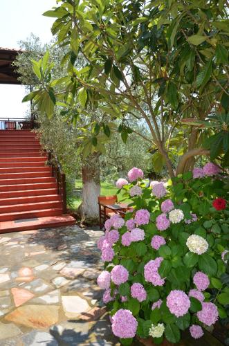 Hotel Maria - image 7