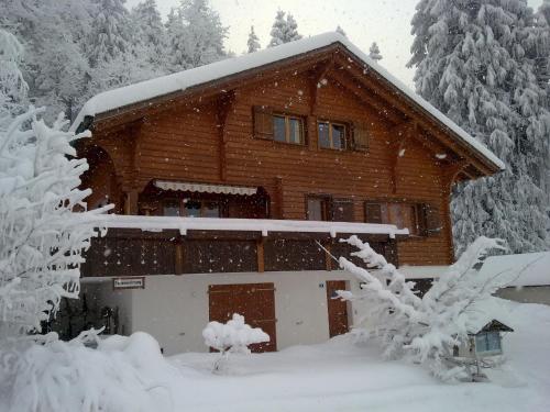 Chalet Murmeli