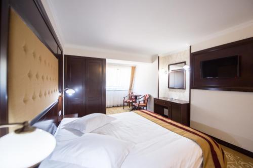 Hotel Silva Busteni - main image