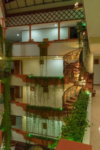 Hotel Baez Carrizal