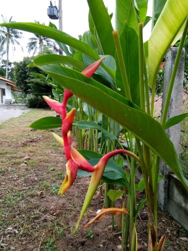 Golden Sea Beach Villa and Resort