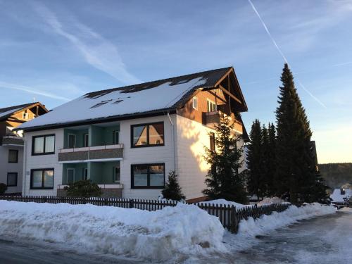 Ferienwohnung MILA Braunlage - Braunlage