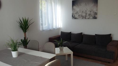 Mistel Apartman