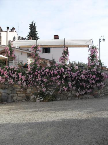 Agriturismo Olmi Grossi - image 10