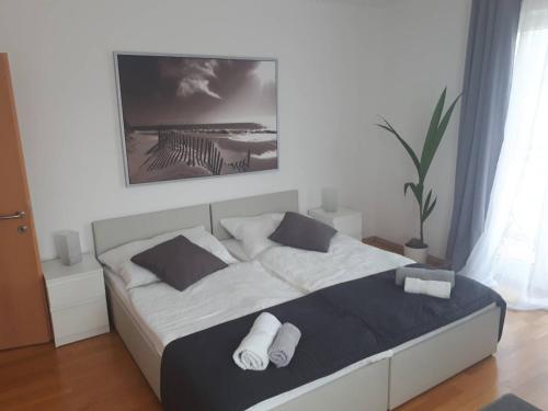 Mistel Apartman