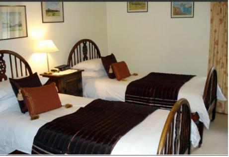 Best Inn Hotel Room Type - Twin Room with Shared Bathroom