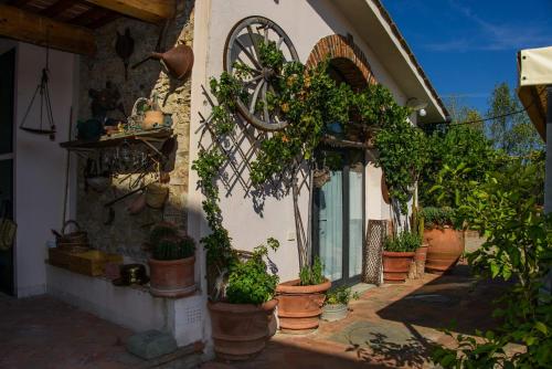 Agriturismo Olmi Grossi - image 8