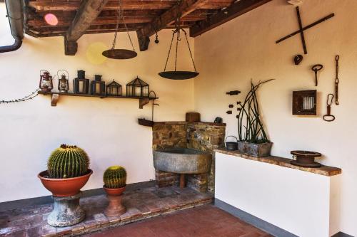 Agriturismo Olmi Grossi 5