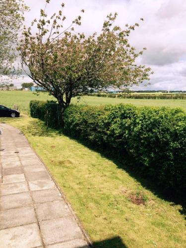 Vistas, Ayrshire cottage in Kilmarnock