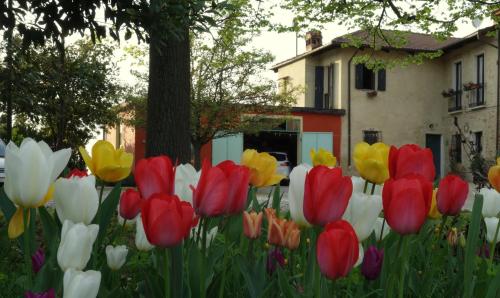 Cascina Alberta in Vignale Monferrato