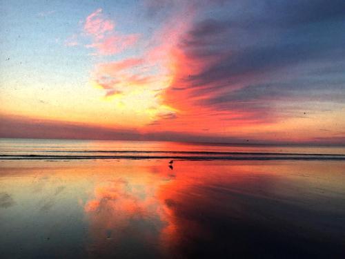 沙灘, Nantasket Beach - JULY 4th holiday - Summer 2026 in 赫爾 (MA)