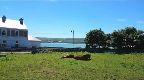景觀, Seacrest B&B in 伊尼什莫爾島
