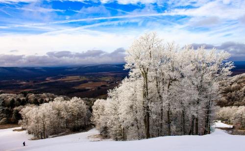 Canaan Valley Resort State Park - image 8