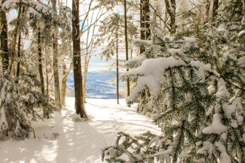 Canaan Valley Resort & Conference Center – Davis, WV