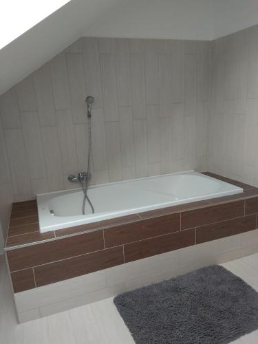 apartmány pod lesem - image 14