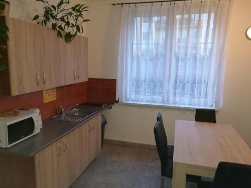 Cocina, Penzion PALMA in Frydlant Nad Ostravici