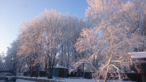 Zimnyaya Skazka - image 7