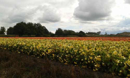  B&B Karels Halte, Pension in Destelbergen bei Merelbeke