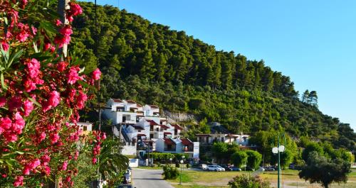 Hovolo Hotel Apartments - image 5