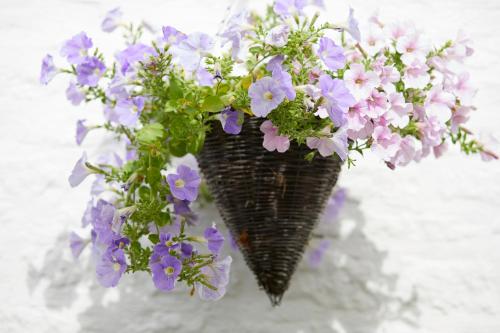 The Wheatsheaf Combe Hay - image 12