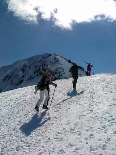 Rahoff hotel - image 4