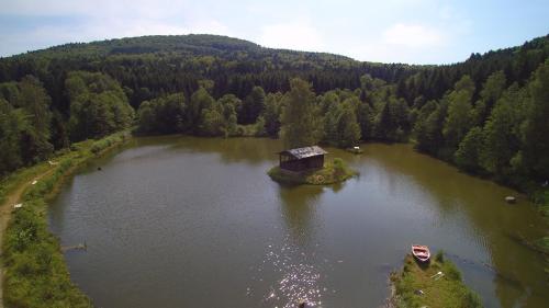 Hotel Bayerischer Wald - image 10