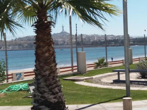 

Bahia horizonte herradura