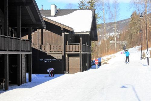 Alpin Apartments Sørlia - image 2