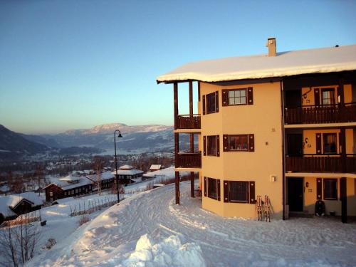 Alpin Apartments Sørlia - image 4