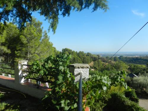 El Pinaret - image 8