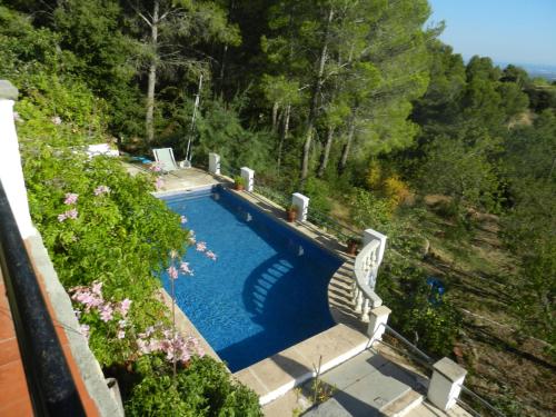 El Pinaret - main image