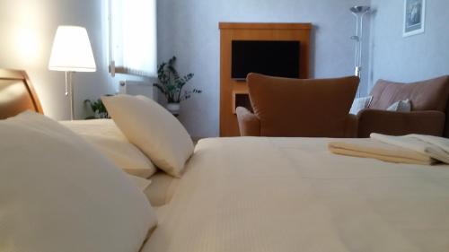 Pension U Labe - image 8