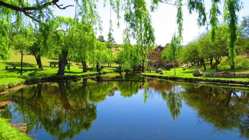 洛杉安卡雷斯度假村