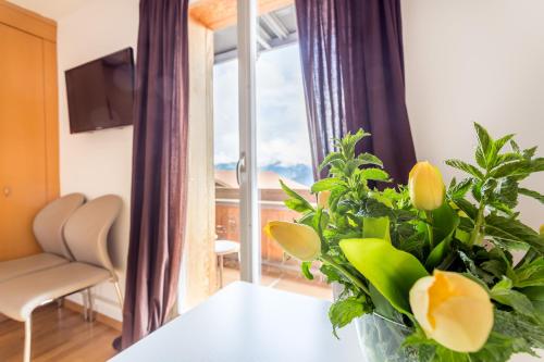 Hotel Sterne - image 7