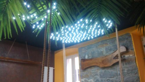 Thematic Rooms - AThema Atmosphere – Trieste, FL