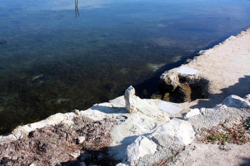 Apartments by the sea Sukosan Zadar - 5819 - image 10