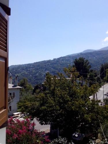 Pension Panos - image 7
