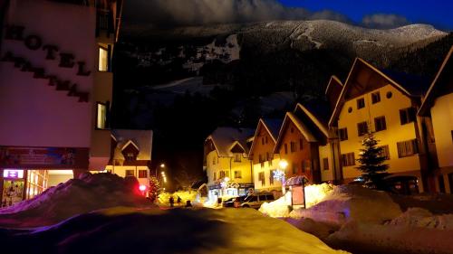 SKI - Apartment - image 4