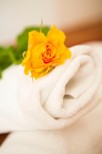 Hotel Roko - image 7