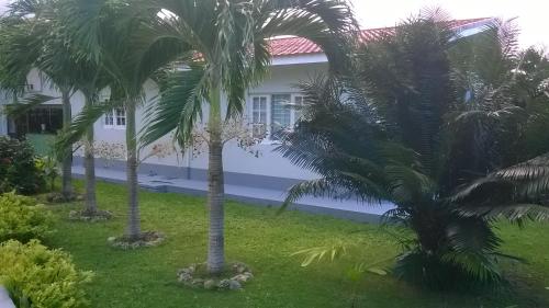外部景觀, Fairy Hill Palms in 迪拉柏斯