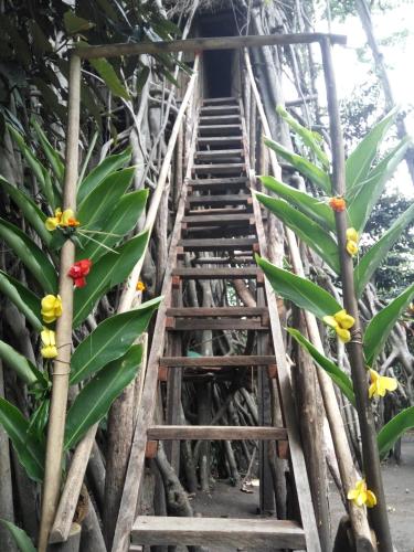 

Island Of Fire Bungalow