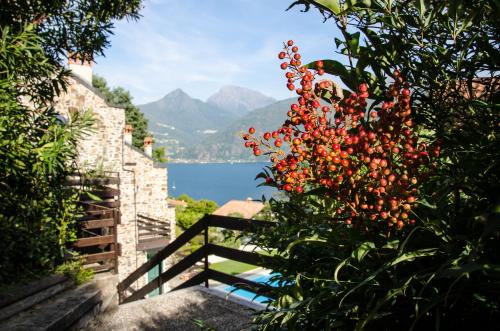 AnMa Cottages Sole Lago