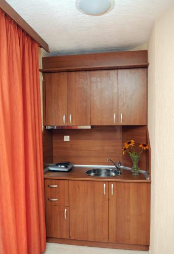 keuken, Къща за гости "ВАИС" in Sandanski