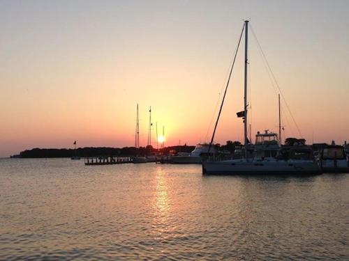 Ahoy Inn Guesthouse - 주변 환경