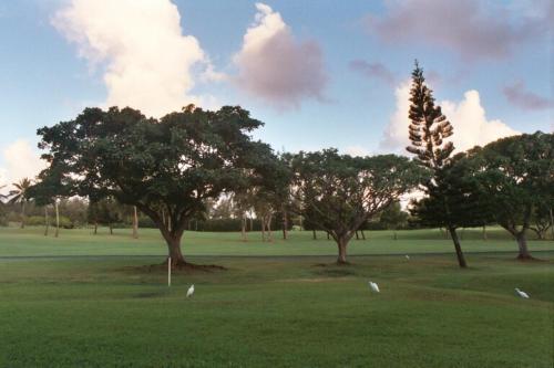 Hale Mokulani Condo