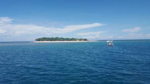 Arena Island