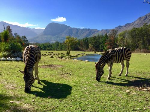 Franschhoek Country Cottages