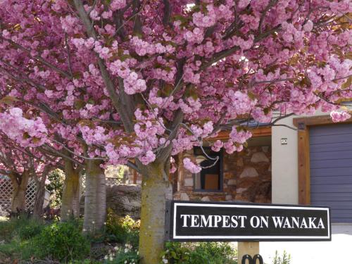 Tempest on Wanaka - Accommodation