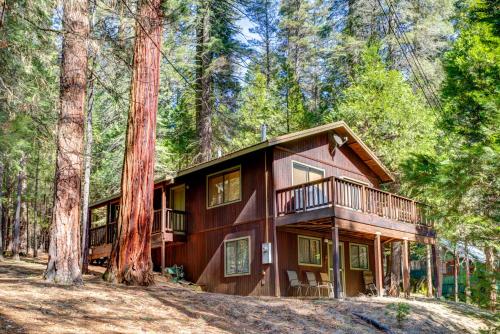 1S Cecils Cabin - Chalet - South Wawona