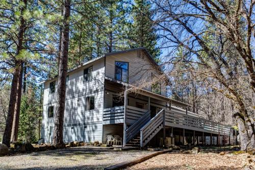 1 Cabin Among the Firs - image 4